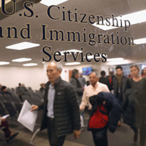 【移民快讯】美移民局警示，不合法取得绿卡，入籍将被拒
