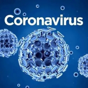 【热点资讯】美国医生关于新冠病毒的文章摘要，总共18条，简洁明了，超实用 ...